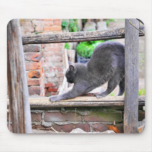 Sich streckende Katze Mousepad (Vorne)