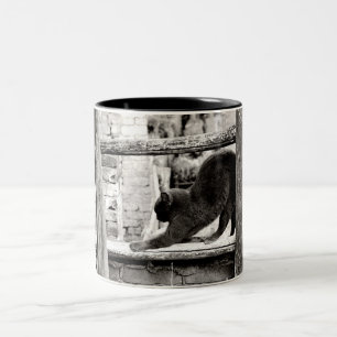 sich streckende Katze Zweifarbige Tasse