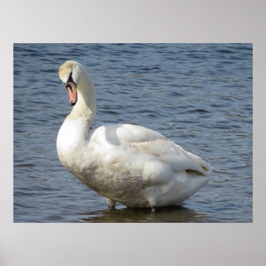 Sich Umsehen Poster (Vorne)