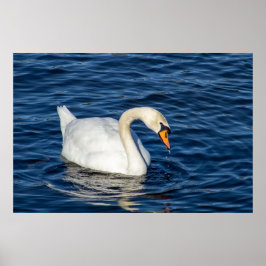 Sich Umsehen Poster