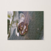 Sich umsehender Frosch Puzzle (Horizontal)