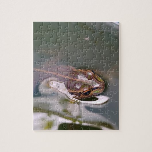 Sich umsehender Frosch Puzzle (Vertikal)