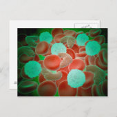 Sichelzellanämie mit roten Blutkörperchen Postkarte (Vorne/Hinten)