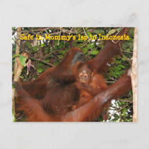 Sicher in Mommy's Lap Postkarte