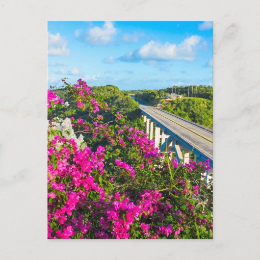 Sichere Reisen in Matanzas, Kuba Postkarte (Vorderseite)