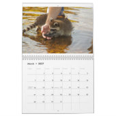 Sicherer Hafen-Tier-Kalender Kalender (Mär 2027)