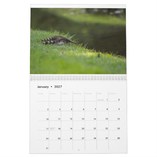 Sicherer Hafen-Tier-Kalender Kalender (Jan 2027)