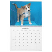 Sicherer Kalender der Handrettung 2015 (Mär 2027)