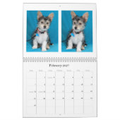 Sicherer Kalender der Handrettung 2015 (Feb 2027)