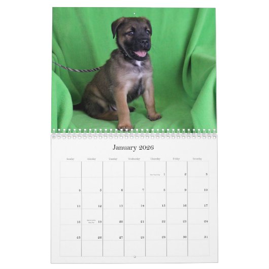 Sicherer Kalender der Handrettung 2015 (Jan 2026)