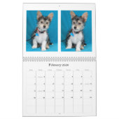 Sicherer Kalender der Handrettung 2015 (Feb 2026)