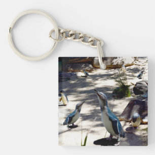 Sicheres Paradies: Feen-Pinguin-Paradies, Schlüsselanhänger