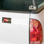 Sicherheit 1 autoaufkleber (Auf Lkw)