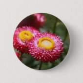 Sicherheit 1 button (Vorderseite)