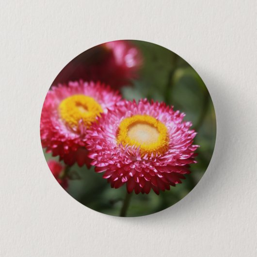 Sicherheit 1 button (Vorderseite)