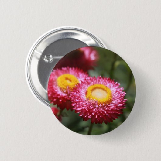 Sicherheit 1 button (Vorne & Hinten)