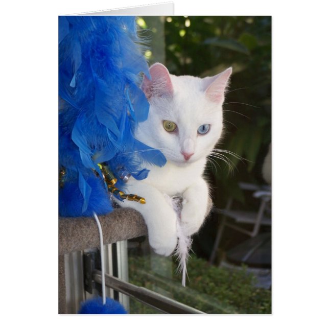 Sicherheit mit Bootkarte (Vorne)