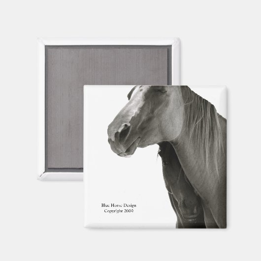 Sicherheit und Komfort Magnet (Vorderseite/Rückseite)