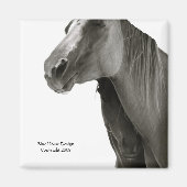 Sicherheit und Komfort Magnet (Vorne)