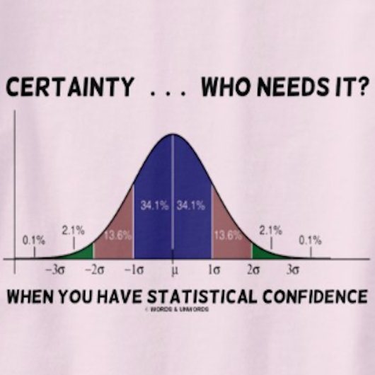 Sicherheit ... Wer braucht es? Wenn Sie einen Staa T-Shirt