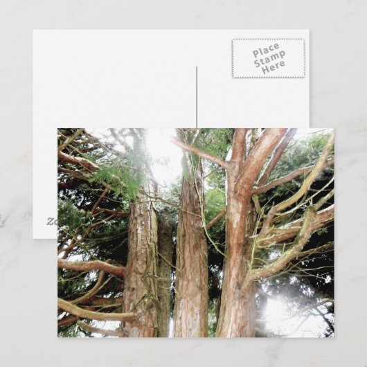 Sicherheitsfeststellung Postkarte (Vorne/Hinten)