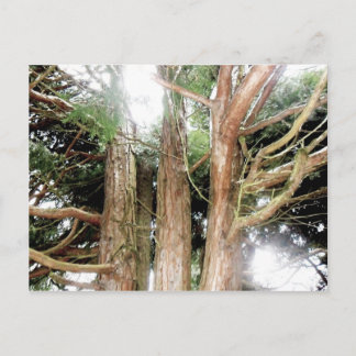 Sicherheitsfeststellung Postkarte