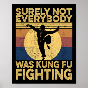 Sicherlich kämpfte nicht jeder im Kung-Fu-Kampf Vi Poster