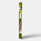 Sichernder Tapichalaca Baum-Frosch Hyloscirtus Case-Mate iPhone Hülle (Rückseite / Rechts)