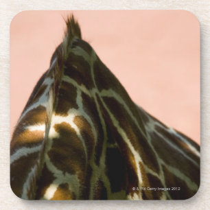 Sicherndes Tier Getränkeuntersetzer