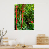Sicherungen von Wax Palms Poster (Küche)