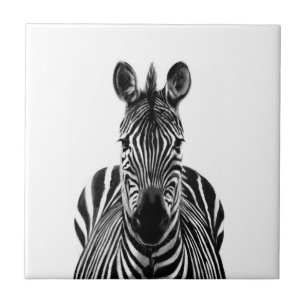 Sicherungsplan III Fliese