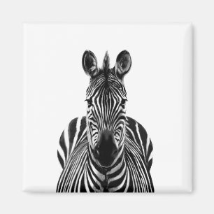 Sicherungsplan III Magnet