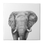 Sicherungsplan IV Fliese (Vorderseite)