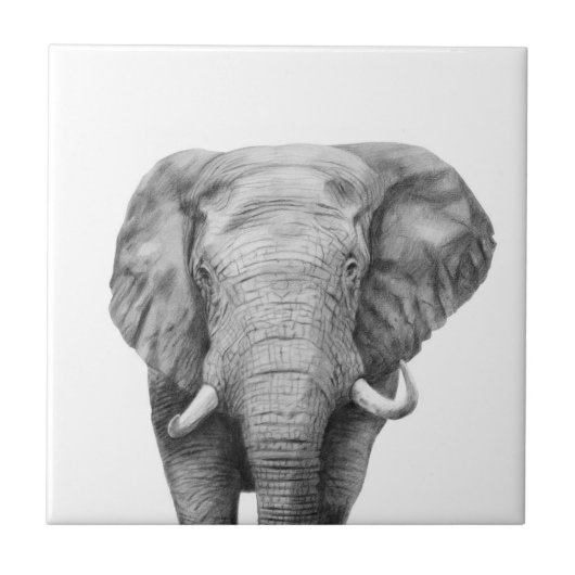 Sicherungsplan IV Fliese (Vorderseite)