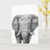 Sicherungsplan IV Karte (Gelbe Blume)