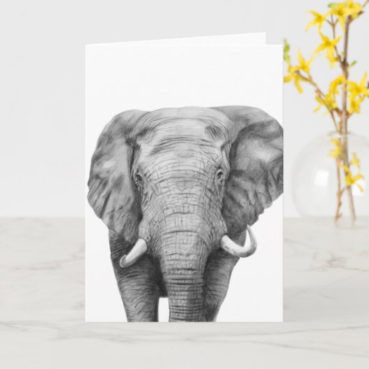 Sicherungsplan IV Karte (Gelbe Blume)