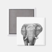 Sicherungsplan IV Magnet (Vorderseite/Rückseite)