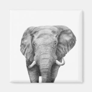 Sicherungsplan IV Magnet