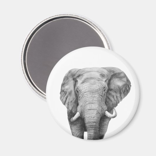 Sicherungsplan IV Magnet (Vorderseite/Rückseite)