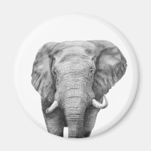 Sicherungsplan IV Magnet