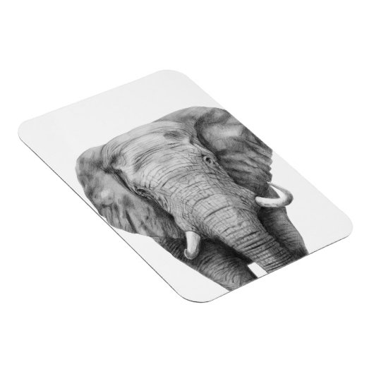 Sicherungsplan IV Magnet (Rechte Seite)