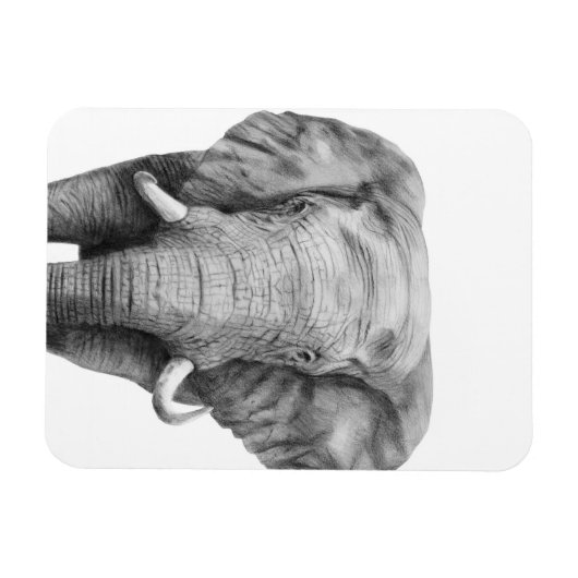 Sicherungsplan IV Magnet (Horizontal)