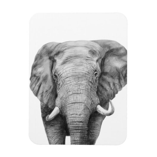 Sicherungsplan IV Magnet (Vertikal)