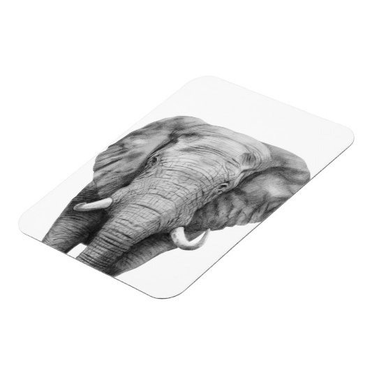 Sicherungsplan IV Magnet (Linke Seite)