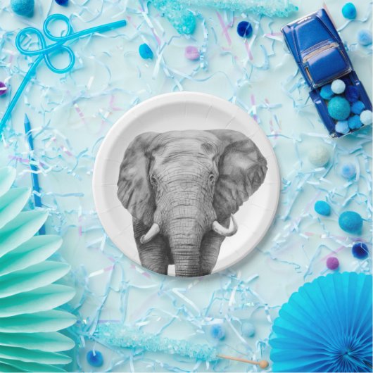 Sicherungsplan IV Pappteller (Party)