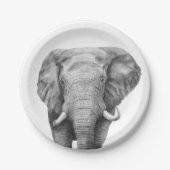 Sicherungsplan IV Pappteller (Vorderseite)