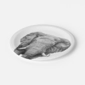 Sicherungsplan IV Pappteller (Schrägansicht)