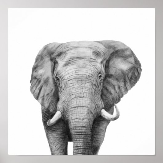 Sicherungsplan IV Poster (Vorne)