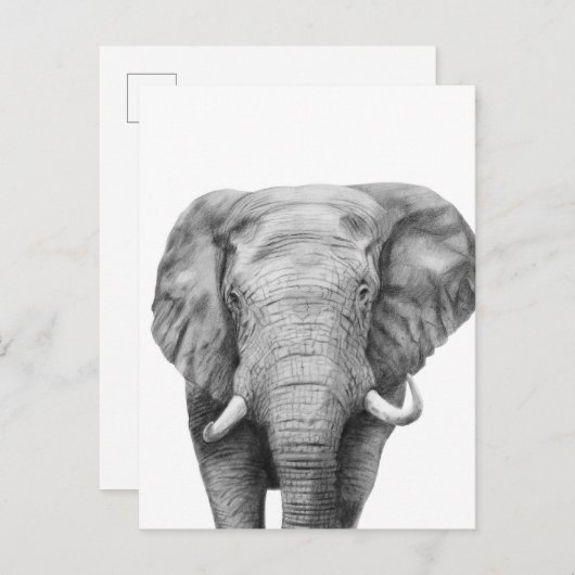 Sicherungsplan IV Postkarte (Vorne/Hinten)