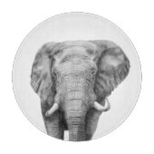 Sicherungsplan IV Schneidebrett (Vorderseite)